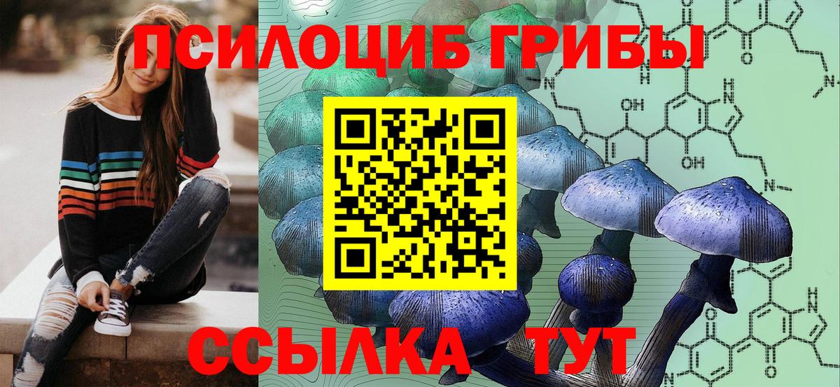 Псилоцибиновые грибы мицелий  Псилоцибиновые грибы мухоморы  Вход с VPN  Туапсе 