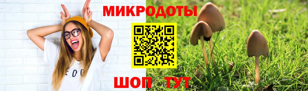 Псилоцибиновые грибы MAGIC MUSHROOMS Туапсе